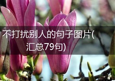 不打扰别人的句子图片(汇总79句)