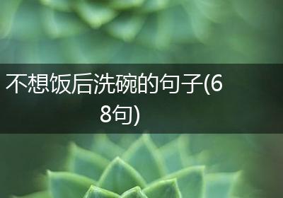 不想饭后洗碗的句子(68句)