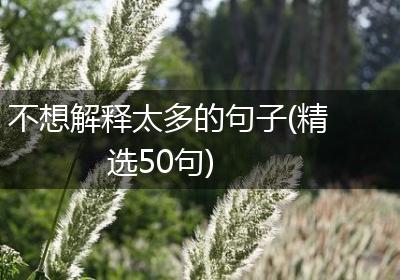 不想解释太多的句子(精选50句)