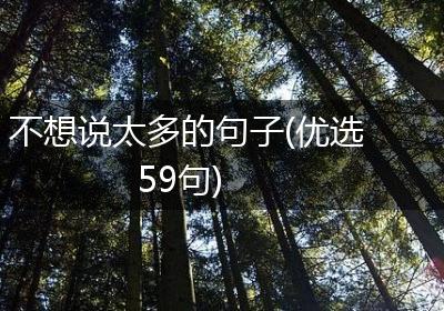 不想说太多的句子(优选59句)