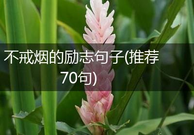 不戒烟的励志句子(推荐70句)