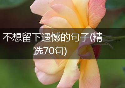 不想留下遗憾的句子(精选70句)