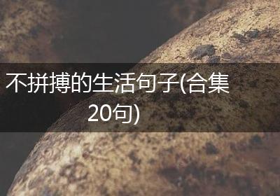 不拼搏的生活句子(合集20句)