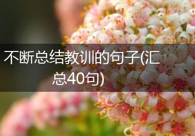 不断总结教训的句子(汇总40句)
