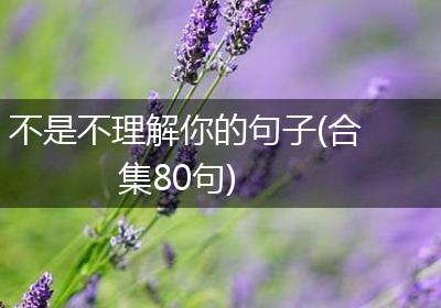 不是不理解你的句子(合集80句)
