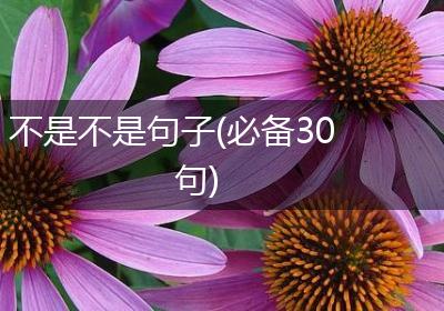 不是不是句子(必备30句)