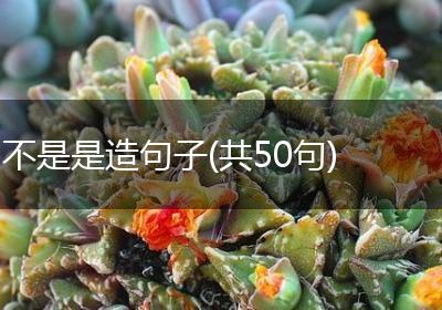 不是是造句子(共50句)