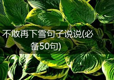 不敢再下雪句子说说(必备50句)