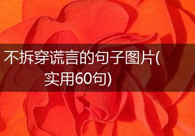 不拆穿谎言的句子图片(实用60句)