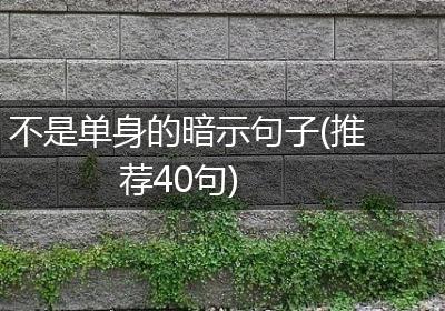 不是单身的暗示句子(推荐40句)