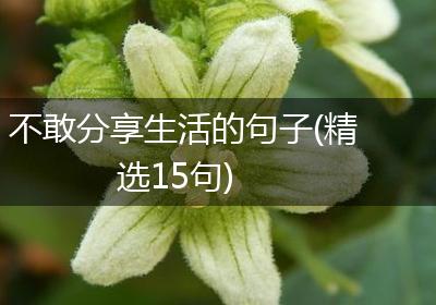 不敢分享生活的句子(精选15句)
