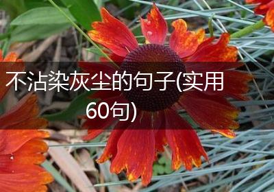 不沾染灰尘的句子(实用60句)