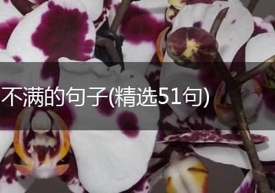 不满的句子(精选51句)