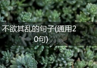 不欲其乱的句子(通用20句)
