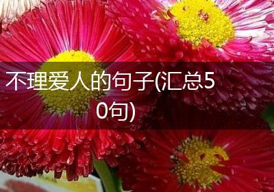 不理爱人的句子(汇总50句)