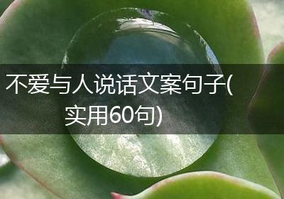 不爱与人说话文案句子(实用60句)