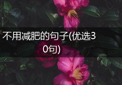 不用减肥的句子(优选30句)