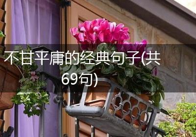 不甘平庸的经典句子(共69句)