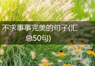 不求事事完美的句子(汇总50句)