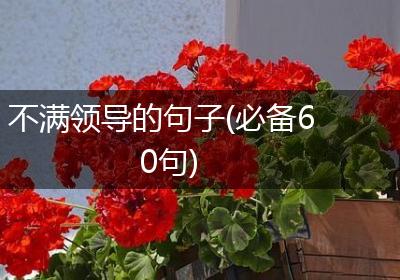 不满领导的句子(必备60句)