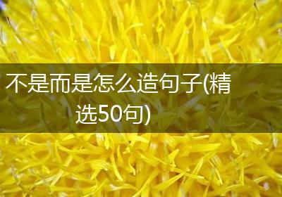 不是而是怎么造句子(精选50句)