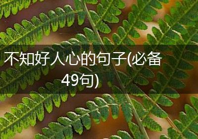 不知好人心的句子(必备49句)