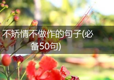 不矫情不做作的句子(必备50句)