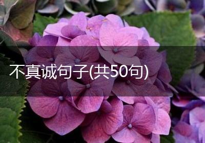 不真诚句子(共50句)