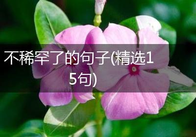 不稀罕了的句子(精选15句)