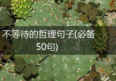 不等待的哲理句子(必备50句)