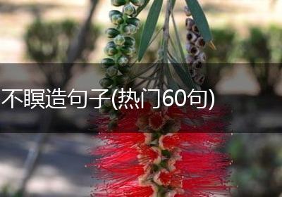 不瞑造句子(热门60句)
