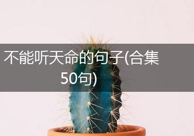 不能听天命的句子(合集50句)