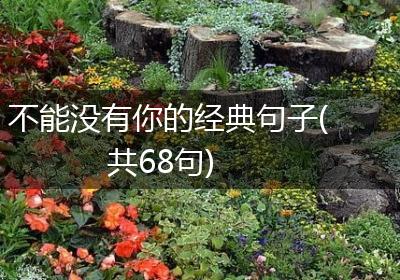 不能没有你的经典句子(共68句)