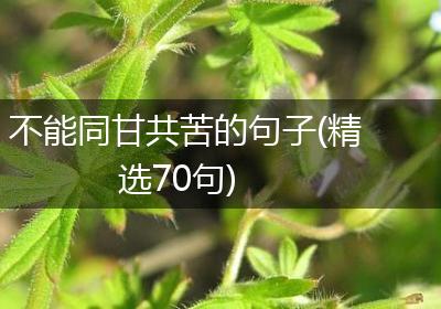 不能同甘共苦的句子(精选70句)
