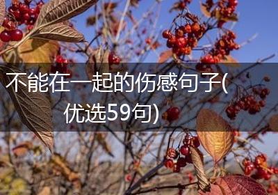 不能在一起的伤感句子(优选59句)