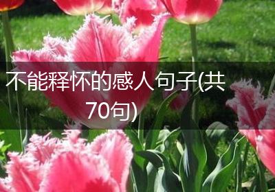不能释怀的感人句子(共70句)