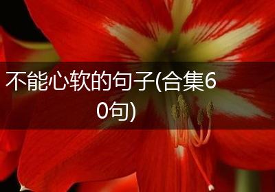 不能心软的句子(合集60句)