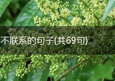 不联系的句子(共69句)