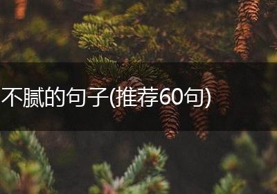 不腻的句子(推荐60句)