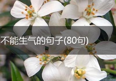 不能生气的句子(80句)