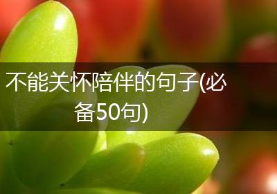 不能关怀陪伴的句子(必备50句)