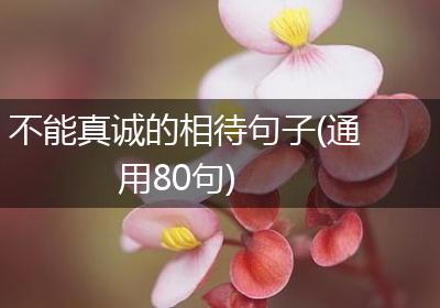 不能真诚的相待句子(通用80句)
