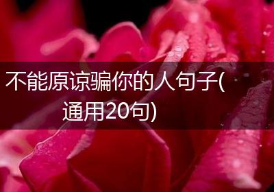 不能原谅骗你的人句子(通用20句)