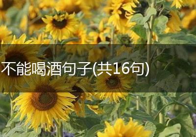 不能喝酒句子(共16句)