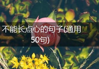 不能长点心的句子(通用50句)