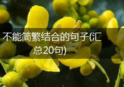 不能简繁结合的句子(汇总20句)
