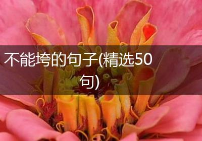 不能垮的句子(精选50句)