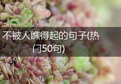 不被人瞧得起的句子(热门50句)