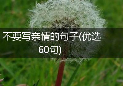 不要写亲情的句子(优选60句)