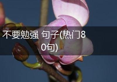 不要勉强 句子(热门80句)